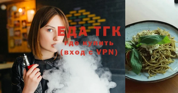 гашик Пестово
