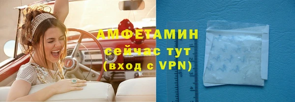 гашик Пестово