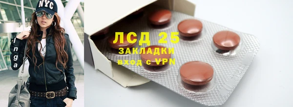 PSILOCYBIN Переславль-Залесский