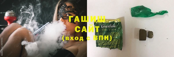 гашик Пестово
