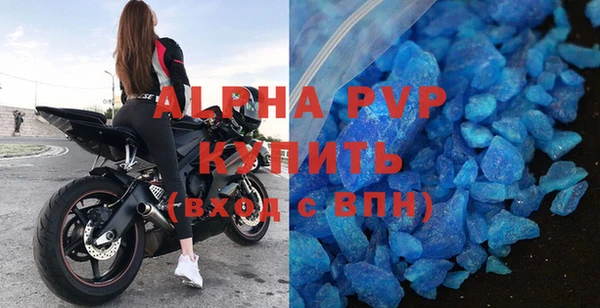 гашик Пестово