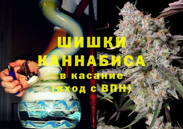 PSILOCYBIN Переславль-Залесский