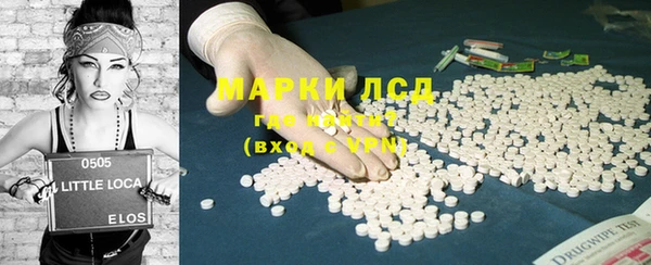 гашик Пестово