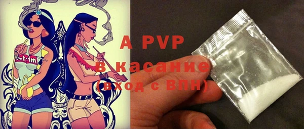 гашик Пестово