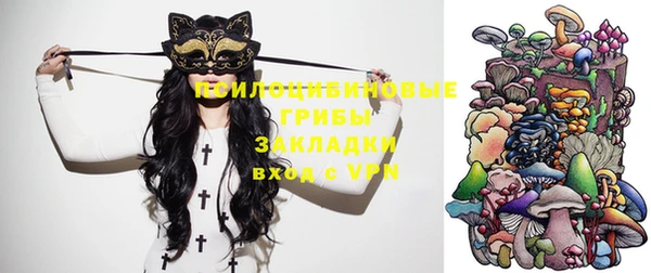 гашик Пестово