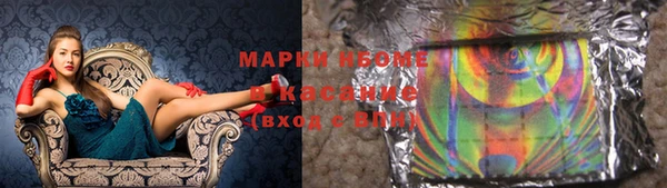 гашик Пестово