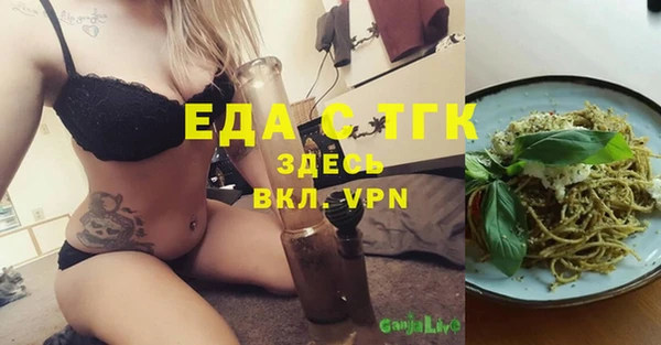 гашик Пестово