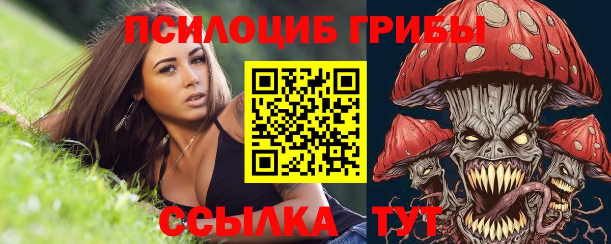 Псилоцибиновые грибы Psilocybine cubensis  Вход с VPN  Краснокаменск 